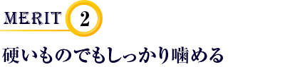 硬いものでもしっかり噛める